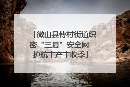 微山县傅村街道织密“三夏”安全网 护航丰产丰收季