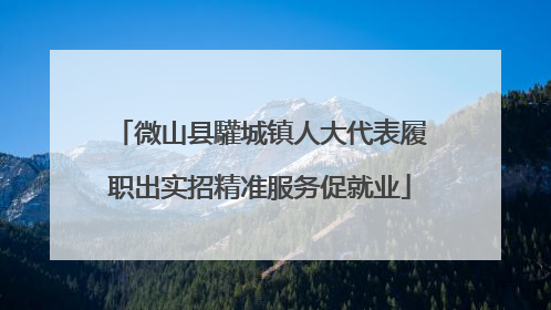 微山县驩城镇人大代表履职出实招精准服务促就业