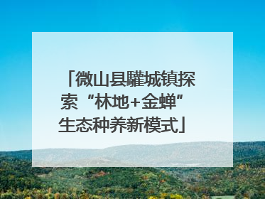 微山县驩城镇探索“林地+金蝉”生态种养新模式