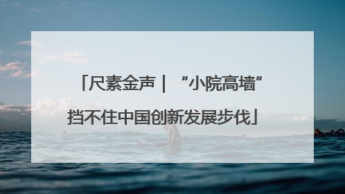 尺素金声｜“小院高墙”挡不住中国创新发展步伐
