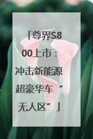 尊界S800上市：冲击新能源超豪华车“无人区”