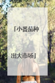 小番茄种出大市场