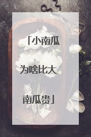 小南瓜为啥比大南瓜贵