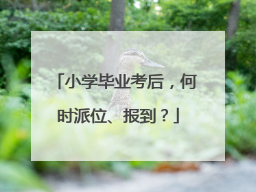 小学毕业考后，何时派位、报到？