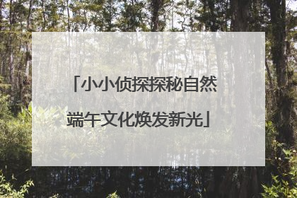 小小侦探探秘自然 端午文化焕发新光