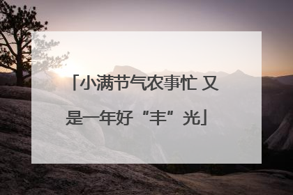 小满节气农事忙 又是一年好“丰”光