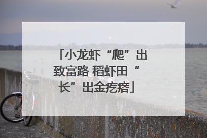 小龙虾“爬”出致富路 稻虾田“长”出金疙瘩