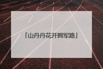 山丹丹花开拥军路