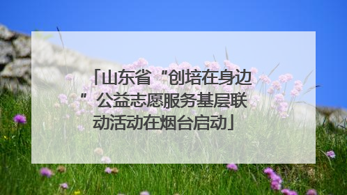 山东省“创培在身边”公益志愿服务基层联动活动在烟台启动