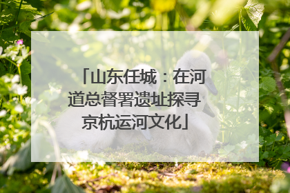 山东任城：在河道总督署遗址探寻京杭运河文化
