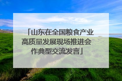山东在全国粮食产业高质量发展现场推进会作典型交流发言