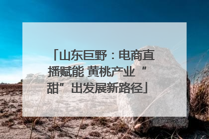 山东巨野：电商直播赋能 黄桃产业“甜”出发展新路径