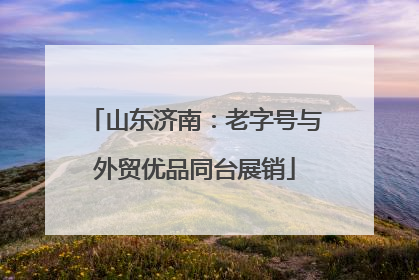山东济南：老字号与外贸优品同台展销