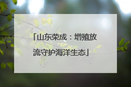 山东荣成：增殖放流守护海洋生态