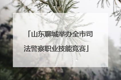 山东聊城举办全市司法警察职业技能竞赛