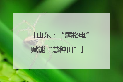 山东：“满格电”赋能“慧种田”