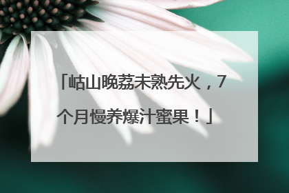 岵山晚荔未熟先火，7个月慢养爆汁蜜果！