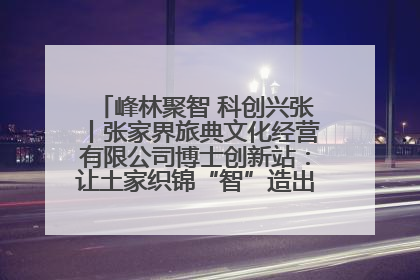 峰林聚智 科创兴张丨张家界旅典文化经营有限公司博士创新站：让土家织锦“智”造出非遗新传奇
