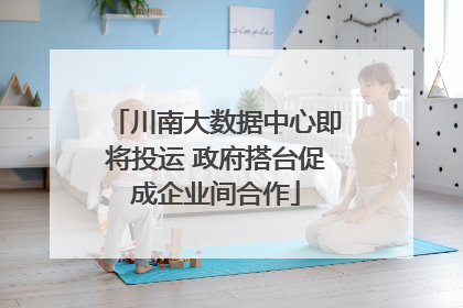 川南大数据中心即将投运 政府搭台促成企业间合作