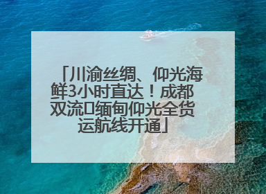 川渝丝绸、仰光海鲜3小时直达！成都双流⇌缅甸仰光全货运航线开通