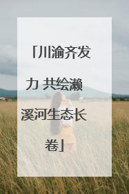 川渝齐发力 共绘濑溪河生态长卷