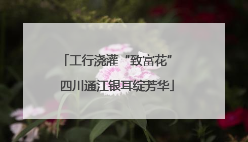 工行浇灌“致富花” 四川通江银耳绽芳华