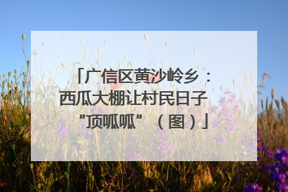 广信区黄沙岭乡：西瓜大棚让村民日子“顶呱呱”（图）