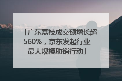 广东荔枝成交额增长超560%，京东发起行业最大规模助销行动