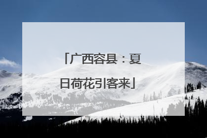 广西容县：夏日荷花引客来