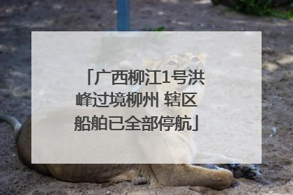 广西柳江1号洪峰过境柳州 辖区船舶已全部停航