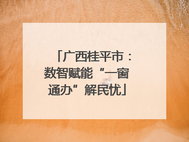 广西桂平市：数智赋能“一窗通办”解民忧