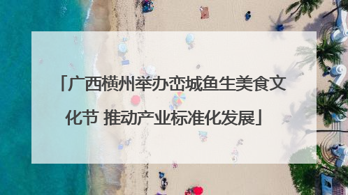 广西横州举办峦城鱼生美食文化节 推动产业标准化发展