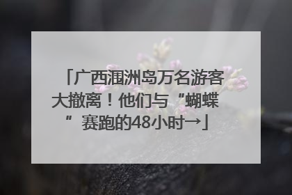 广西涠洲岛万名游客大撤离！他们与“蝴蝶”赛跑的48小时→