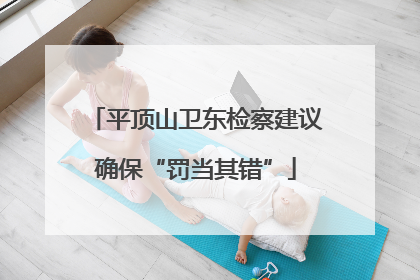 平顶山卫东检察建议确保“罚当其错”