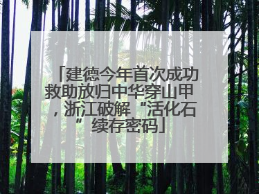 建德今年首次成功救助放归中华穿山甲，浙江破解“活化石”续存密码
