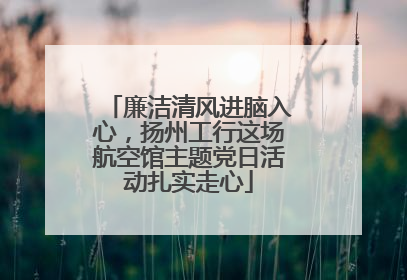 廉洁清风进脑入心，扬州工行这场航空馆主题党日活动扎实走心