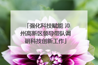 强化科技赋能 漳州高新区领导带队调研科技创新工作