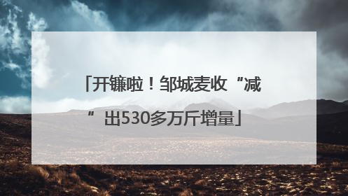 开镰啦！邹城麦收“减”出530多万斤增量
