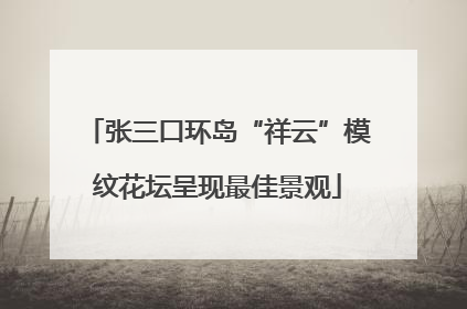 张三口环岛“祥云”模纹花坛呈现最佳景观