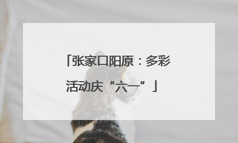 张家口阳原：多彩活动庆“六一”