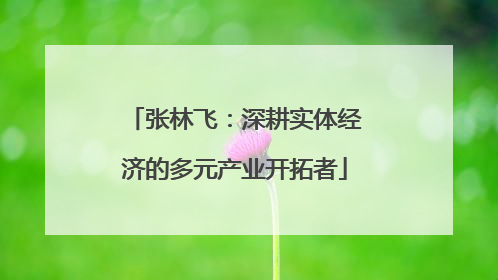 张林飞：深耕实体经济的多元产业开拓者