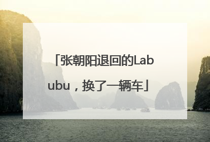 张朝阳退回的Labubu，换了一辆车