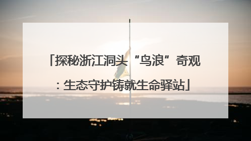 探秘浙江洞头“鸟浪”奇观：生态守护铸就生命驿站
