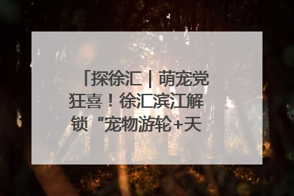 探徐汇｜萌宠党狂喜！徐汇滨江解锁“宠物游轮+天台乐园”双玩法