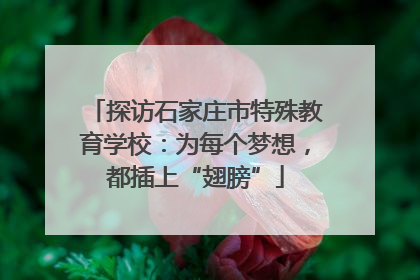 探访石家庄市特殊教育学校：为每个梦想，都插上“翅膀”