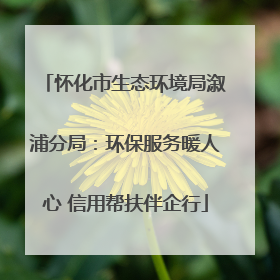 怀化市生态环境局溆浦分局：环保服务暖人心 信用帮扶伴企行