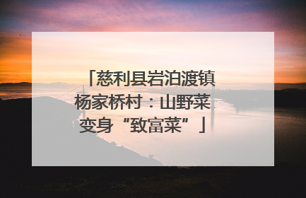慈利县岩泊渡镇杨家桥村：山野菜变身“致富菜”