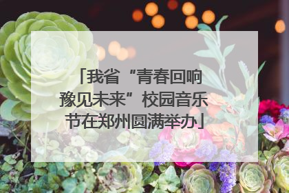 我省“青春回响 豫见未来”校园音乐节在郑州圆满举办