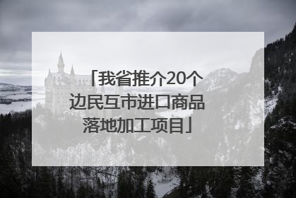 我省推介20个边民互市进口商品落地加工项目
