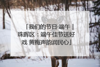 我们的节日·端午｜珠晖区：端午佳节送好戏 黄梅声韵润民心